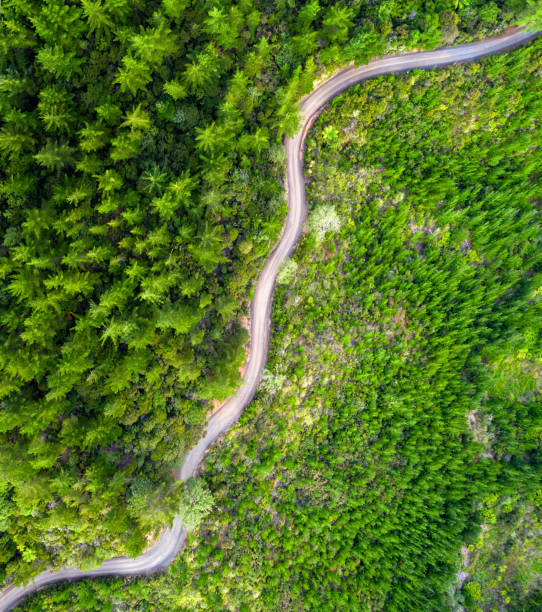 Rural forest road from directly above