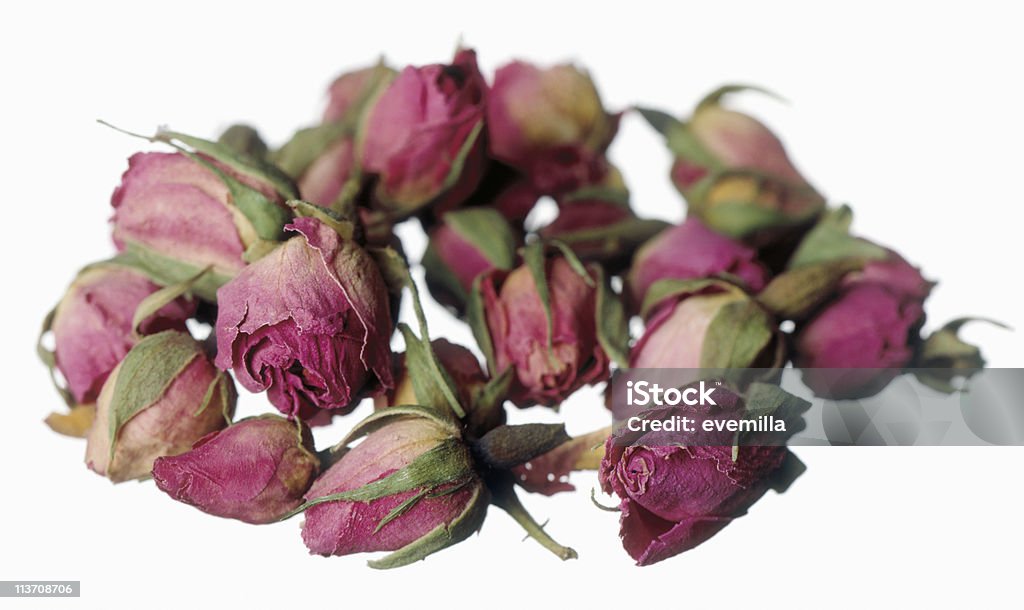 Rosa secca boccioli di rosa isolato su bianco - Foto stock royalty-free di Annusare