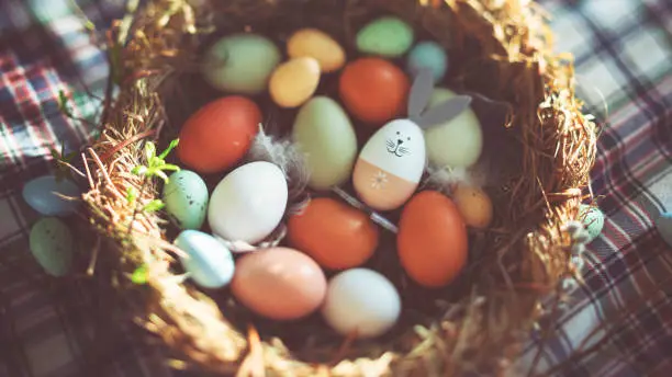 Easter decoration with crafted Easter bunny in the sunny nest