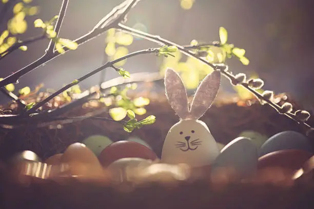 Easter decoration with crafted Easter bunny in the sunny nest