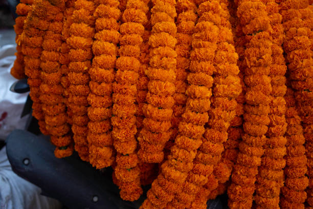 istock Orange ritual flowers Kathmandu, Nepal 1137092290