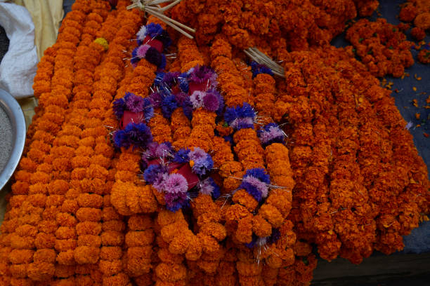 istock Orange ritual flowers Kathmandu, Nepal 1137092397