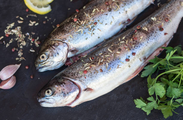 Fresh raw trout fish on black background