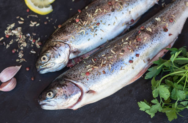 fresh raw trout fish on black background - lemon food preparation portion imagens e fotografias de stock