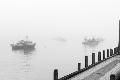 Fishing boats at anchor in harbor and mist at Moeraki in South Island.