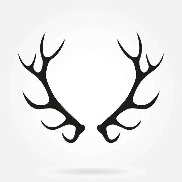 鹿の角白の背景に孤立した角のアイコン。ベクターブラックのシルエット。 - deer portrait点のイラスト素材／クリップアート素材／マンガ素材／アイコン素材