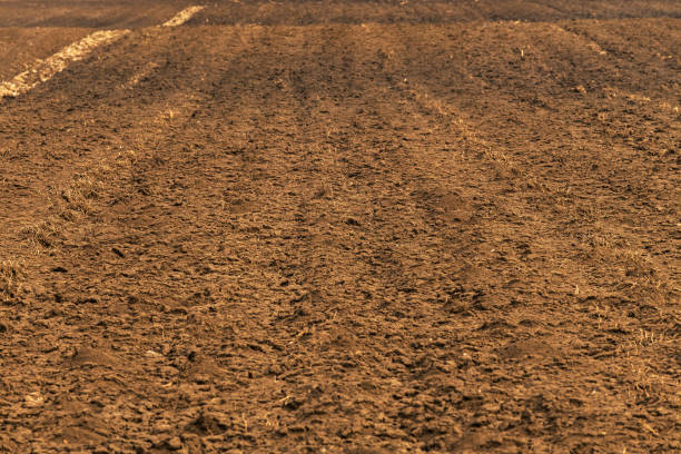 istock Plowed land ready for sowing season 1137097149