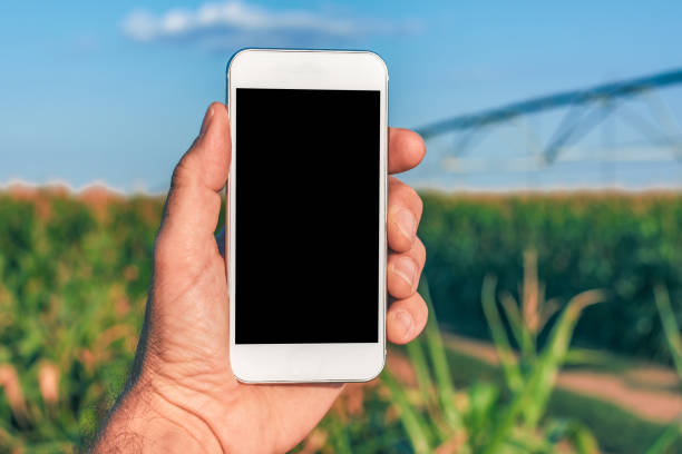 istock Smart phone agriculture app mock up screen 1137097989