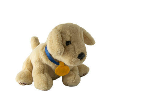 Soft plush dog toy. Ivory, brown pupy toy, isolated on white