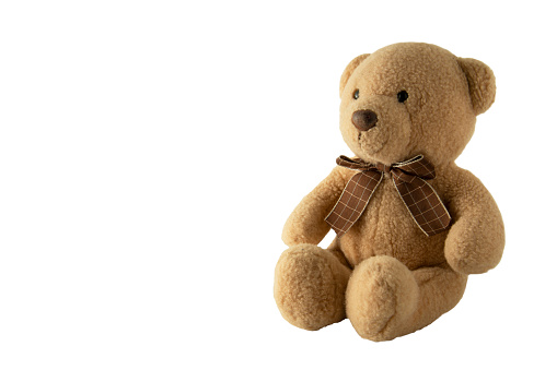 toy teddy isolated on white background, isolated. Parenting and education. Lovely toy.