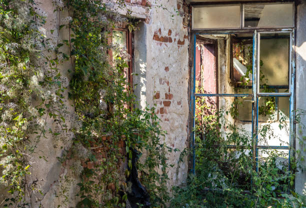 The old Northern State Hospital ruins, now part of the Northern State Recreation Area just north of Seattle. Opened in 1912 the hospital once housed the most mentally ill patients in the state. The grounds also encompassed a 700 acre full function farm, it was officially closed in 1973. In 1991 Skagit County purchased the land and transformed it into a recreation area for the public.
