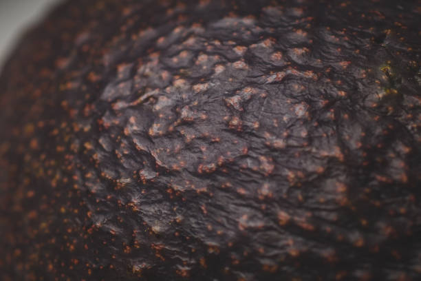 istock Macro of an avokado skin 1137100002