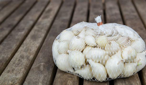 agriculture, culture, agriculture et légumes concept. - onion bag netting vegetable photos et images de collection