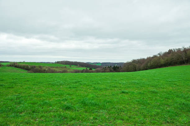 istock Field full of green lawns 1137106177