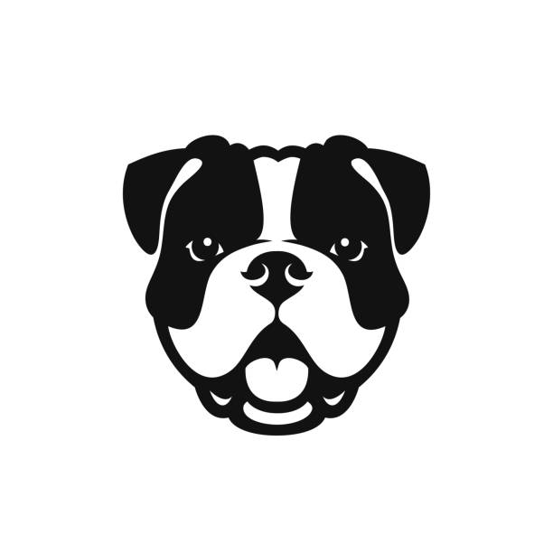 bildbanksillustrationer, clip art samt tecknat material och ikoner med bulldog face-isolerad skisserat vektor illustration - djurhuvud