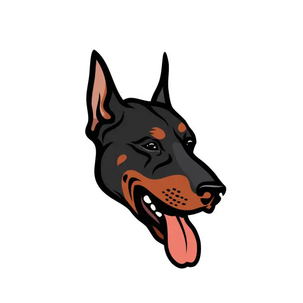 Vector illustration of Dobermann dog face - isolated outlined vector illustration