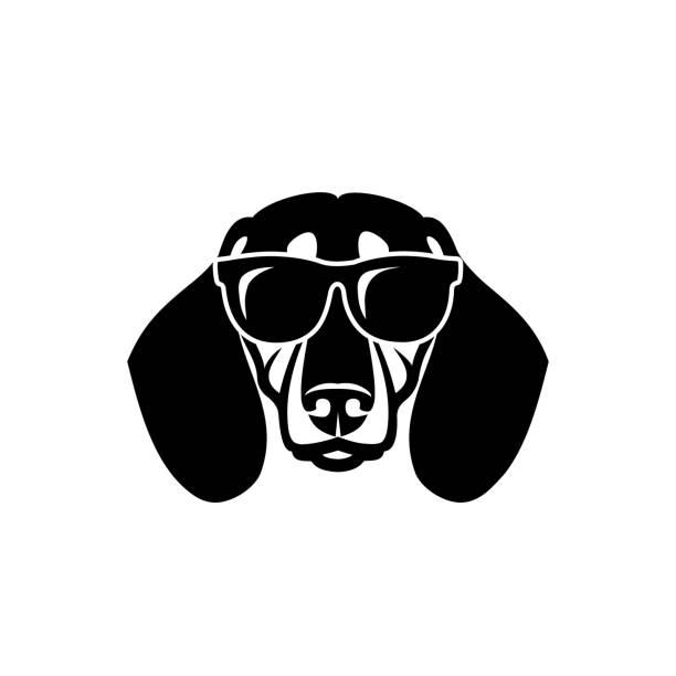 собака такса в солнцезащитных очках - изолированная векторная иллюстрация - dachshund dog small black stock illustrations