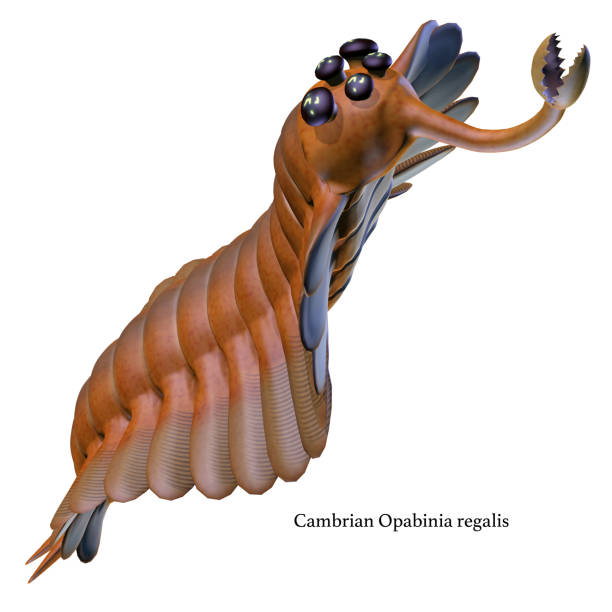 istock Cambrian Opabinia Head with Font 1137114561