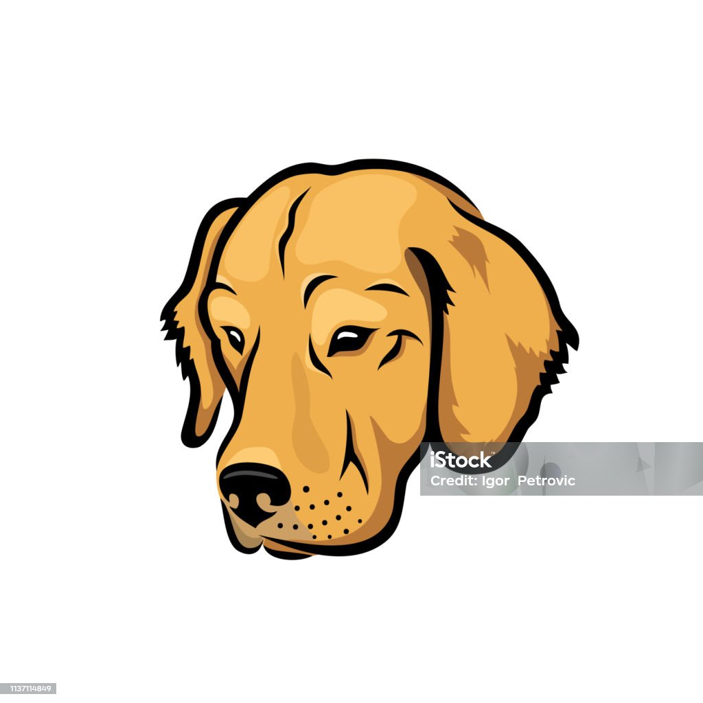 Labrador retriever dog - vector illustration Labrador retriever dog Golden Retriever stock vector