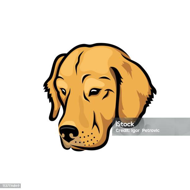 Labrador Retriever Dog Vector Illustration Stock Illustration - Download Image Now - Golden Retriever, Head, Dog