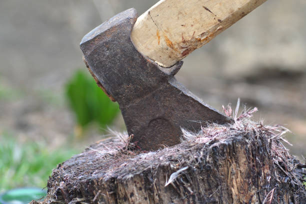 istock Old ax with wooden handle on the stump. 1137115516