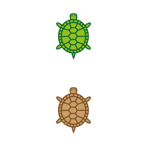 Turtles 11 Stock Illustration - Download Image Now - Turtle, Animal Shell, Icon - iStock Turtles 11 Stock Illustration - Download Image Now - Turtle, Animal Shell, Icon - iStock