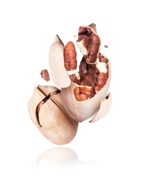 istock Cracked pecan nut close up on a white background 1137124579