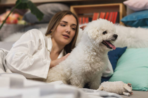 istock Girl lying in bed, cuddling with her dog 1137127695
