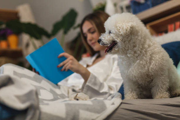 istock Dog looking at camera, girl reading a book in bed 1137127698