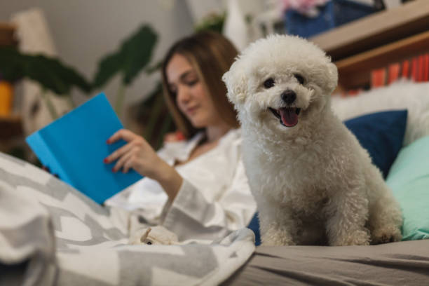 istock Dog looking at camera, girl reading a book in bed 1137127699