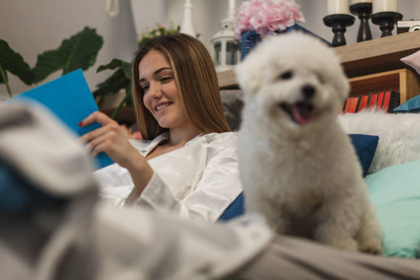 istock Girl reading in bed 1137127703