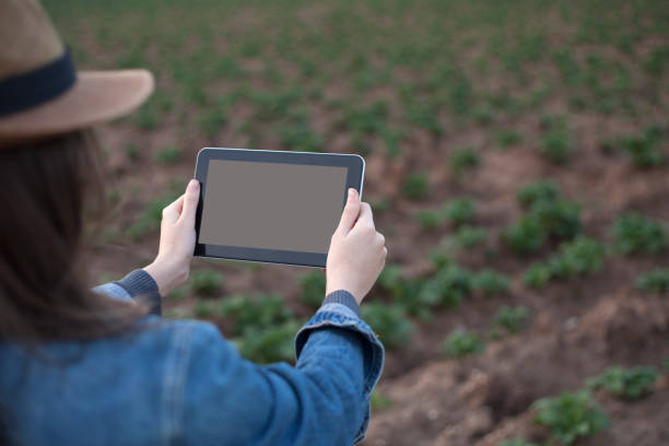 istock digital farming   agriculture 1137132656
