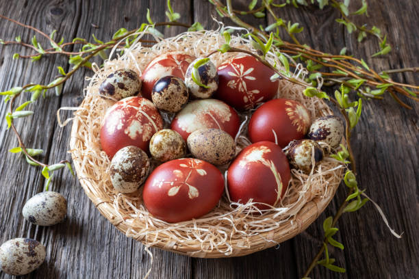 istock Easter eggs dyed with onion peels with a pattern of fresh herbs with quail eggs 1137134280