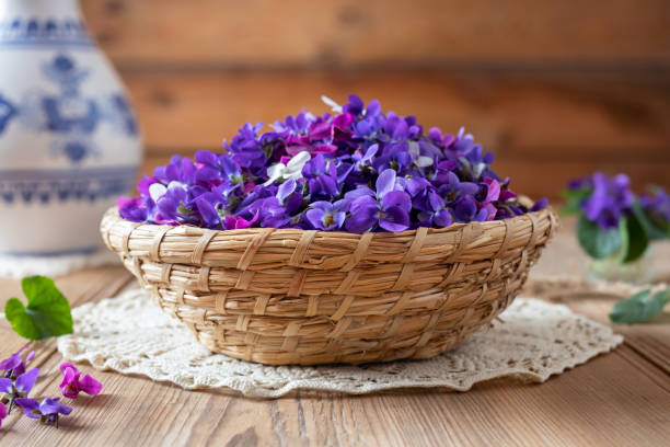 Wood violet flowers in a basket