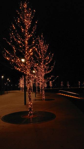 istock Lights on trees in a park in the evening create a festive atmosphere. Trees wrapped in twinkle fairy lights during New Year holidays. 1137138745