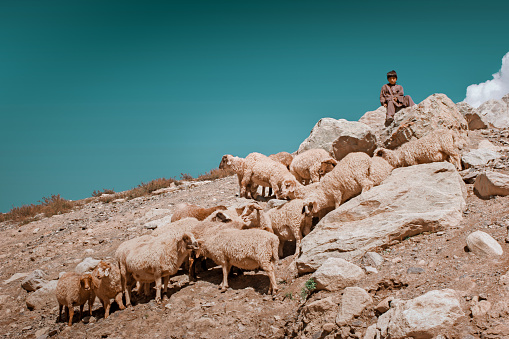 Child labor - shepherd child sitting on a rock on mountain in swat, KPK, Pakistan 14/10/2015