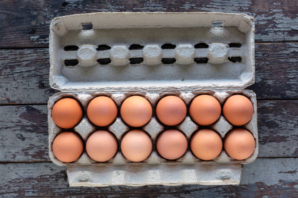 одна дюжина органических свежих коричневых яиц - dozen eggs food eggs horizontal стоковые фото и изображения