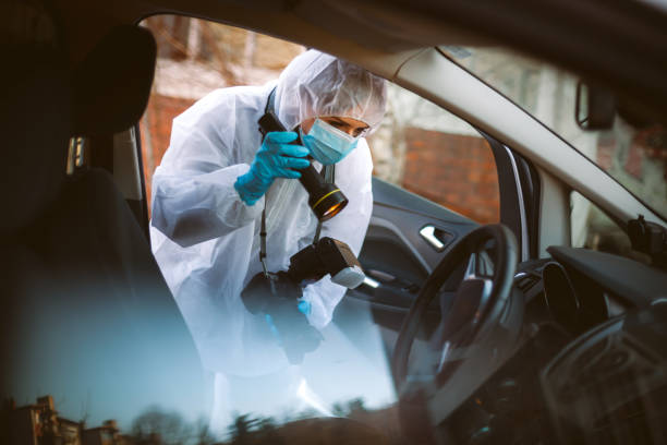 Forensic Science Photographer, Coroner, Crime Scene, Forensic Science, Protective Glove, Evidence fingerprint photos stock pictures, royalty-free photos & images