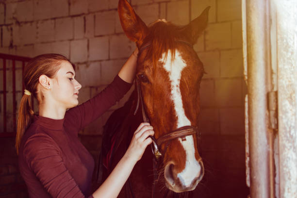 istock Young woman riding a horse 1137144399