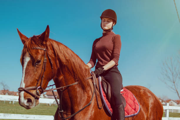 istock Young woman riding a horse 1137145618