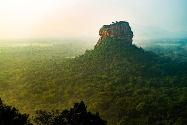 istock Sigiriya Lion Rock Mount sri lag dawn top view 1137146586
