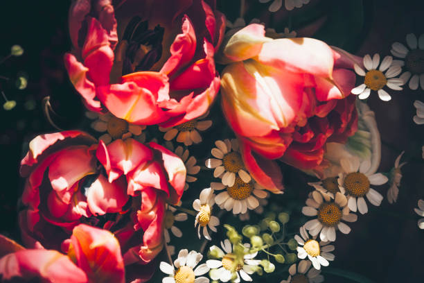 istock Bright bouquet of tulips and daisies 1137146873