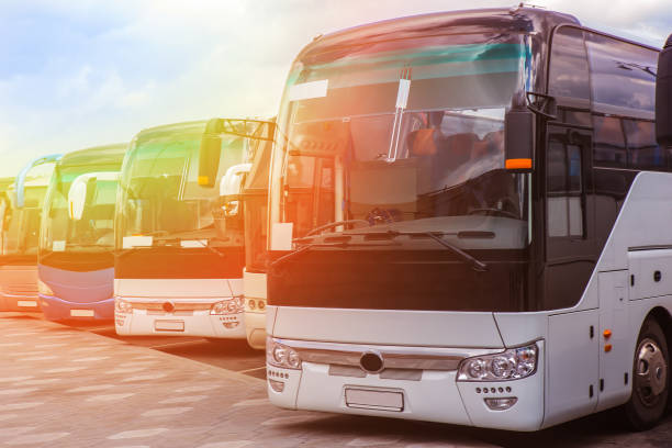istock tourist buses on parking 1137162567