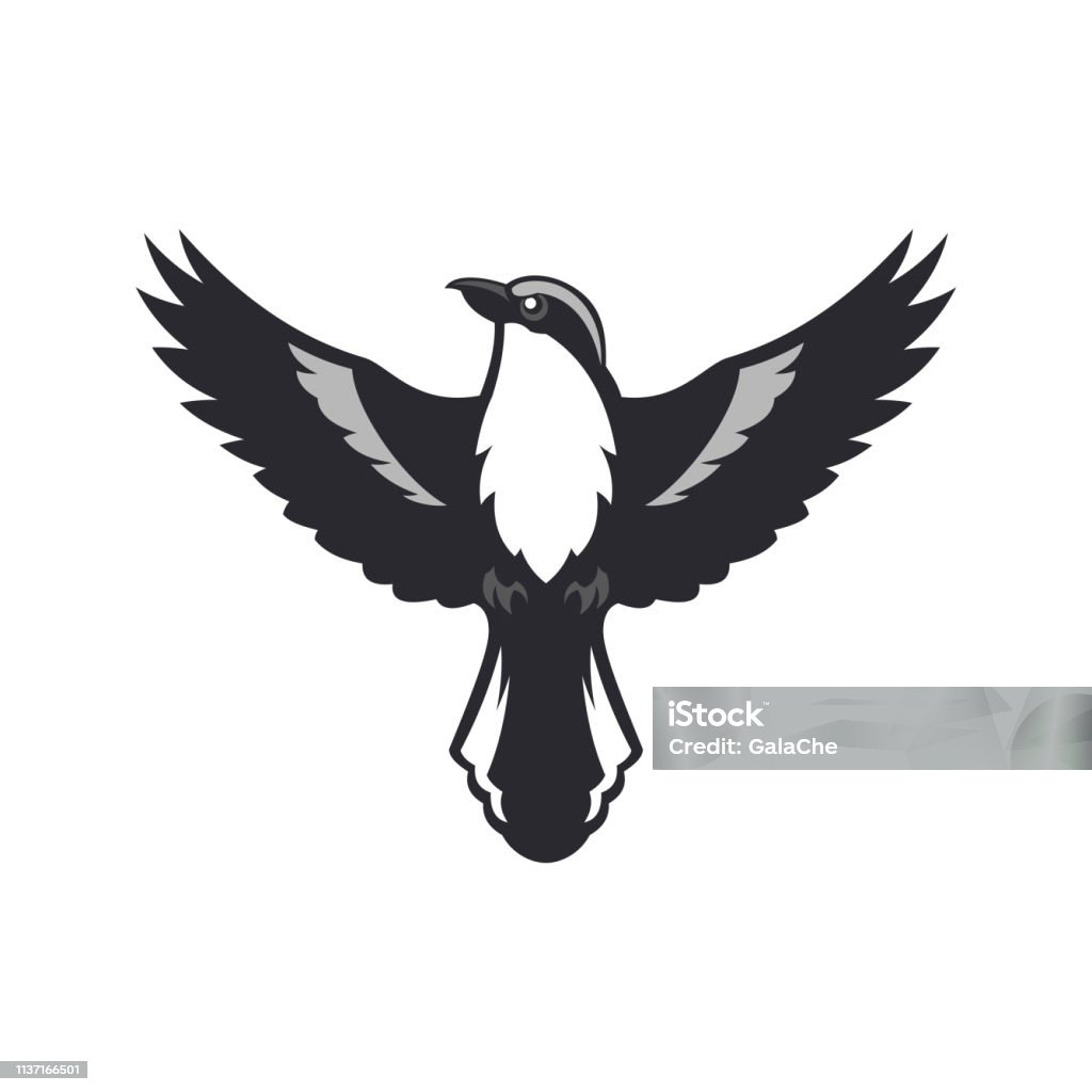 Vogelsilhouette. Shrike Vogel mit ausgebreiteten Flügeln-Greifvogel Vektorabbildung - Lizenzfrei Vogel Vektorgrafik