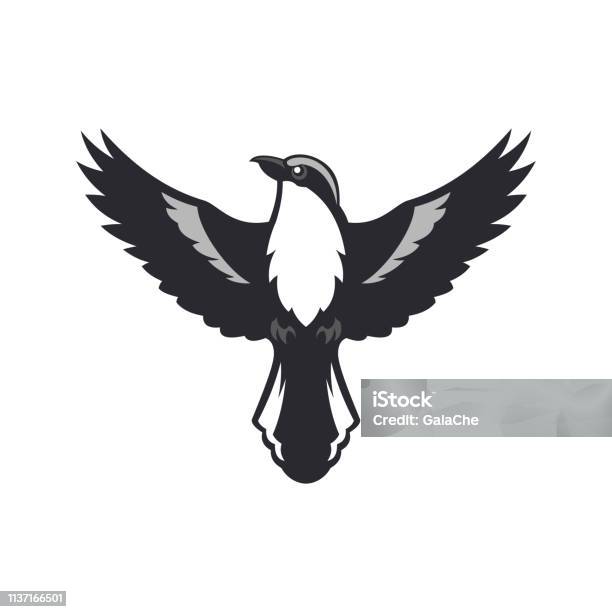 Vogelsilhouette Shrike Vogel Mit Ausgebreiteten Flügelngreifvogel Vektorabbildung Stock Vektor Art und mehr Bilder von Vogel
