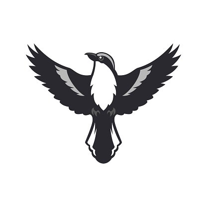 Bird silhouette with spread wings. Shrike bird of the Lanius family - bird of prey vector illustration.