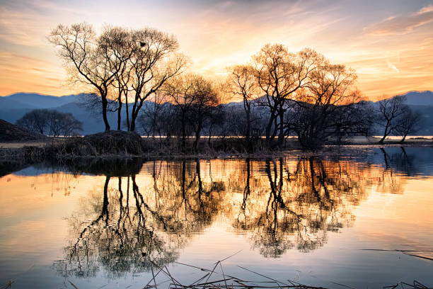 istock Dawn of a Water garden VD702 1137170128