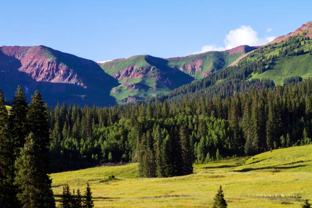 istock Mountains in Crested Butte near Gothic, Colorado 1137171605