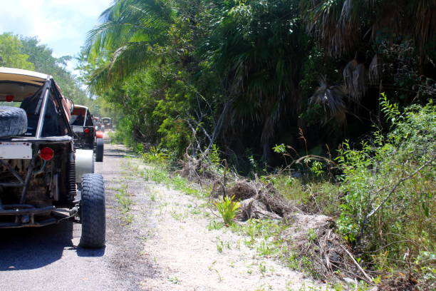 istock Costa Maya, Mexico Dune Buggies 1137173005