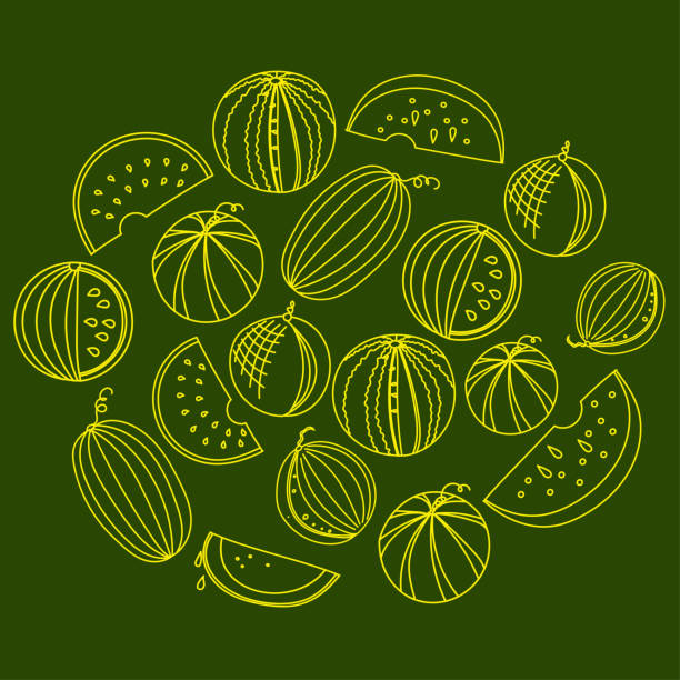 ilustrações de stock, clip art, desenhos animados e ícones de yellow melon and watermelon sketch art - backgrounds berry close up dessert